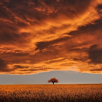 Vesekövi kalandok a sürgősségi körül