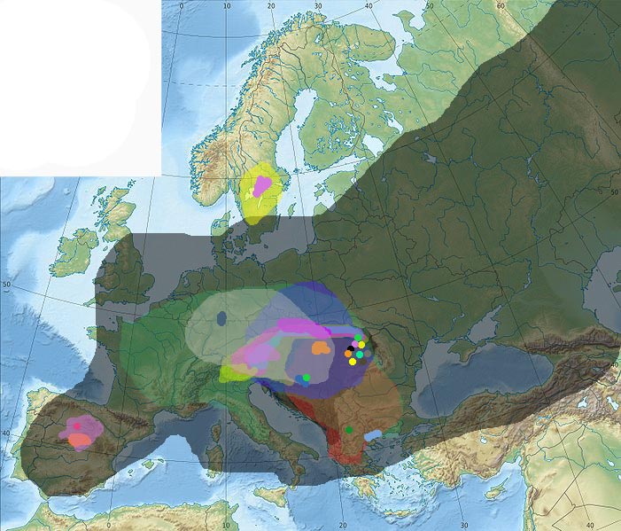 Trachytes areas.jpg