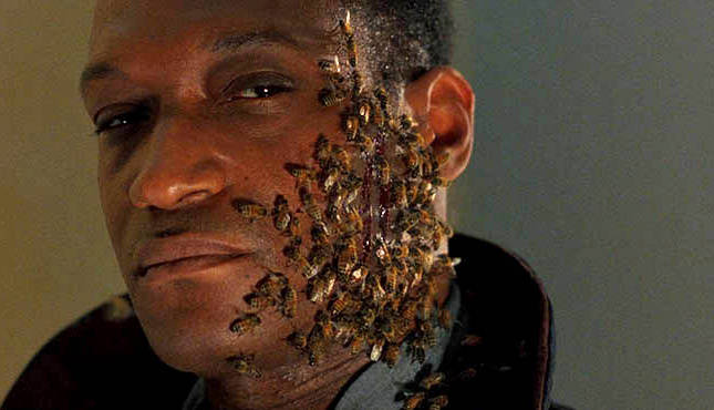 5165414-candyman1-645x370.jpg