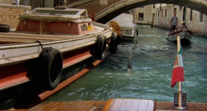 shark_in_venice_3.jpg