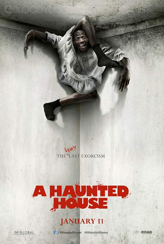 A-Haunted-House-Spoof-Poster-2.jpg