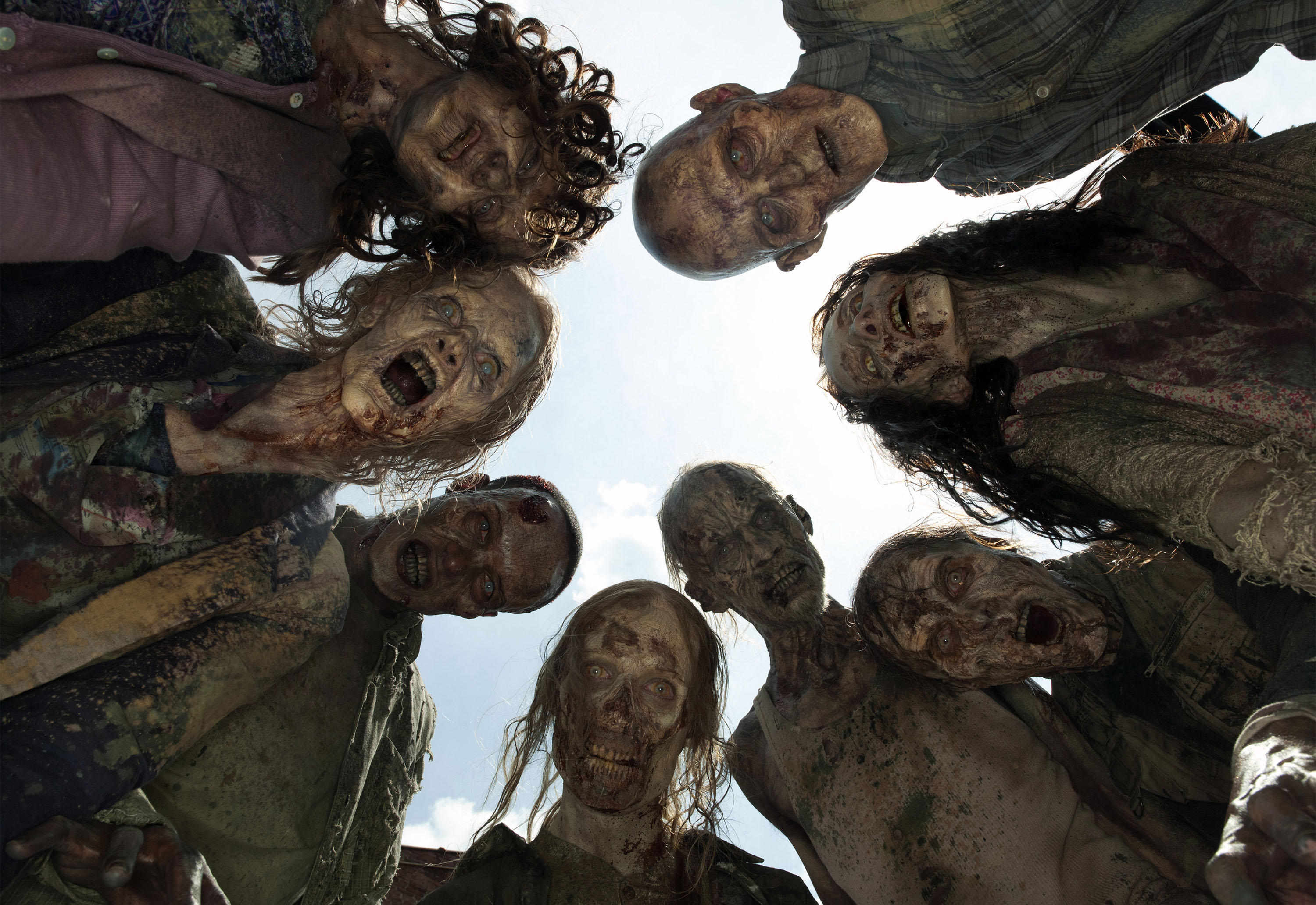 twd-foto-tvmusor.jpg