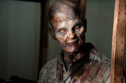 The-Walking-Dead-Zombie-borton.jpg