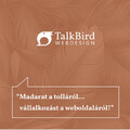 Bemutatkozik a Talkbird Webdesign