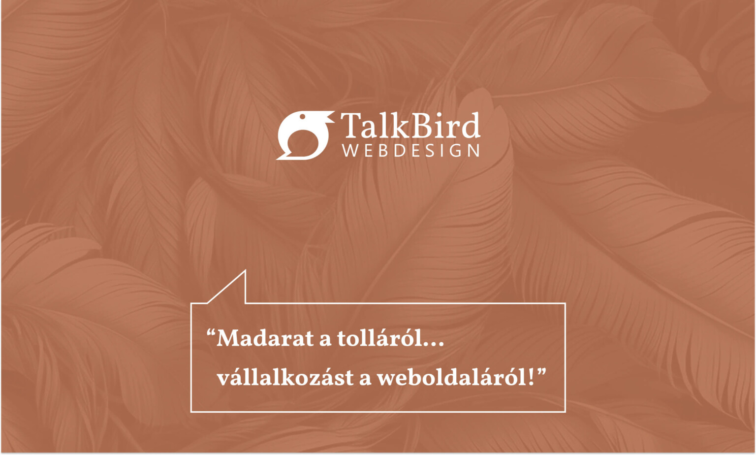 talkbird-webdesign-bejegyzeskep-1536x924.jpg