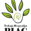 Ismét Tokaj-Hegyalja Piac!