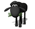 black-sheep-animated.gif