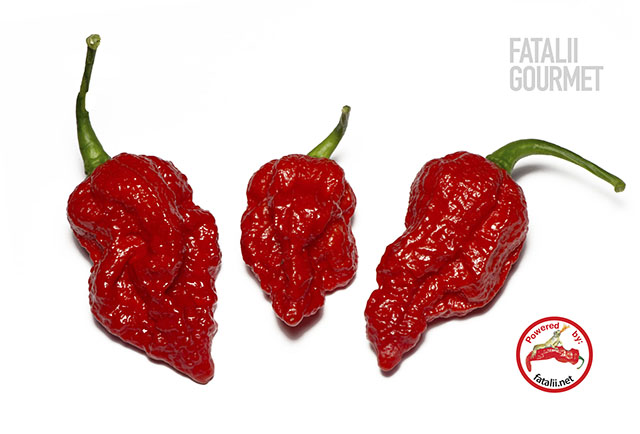 fatalii_gourmet.jpg