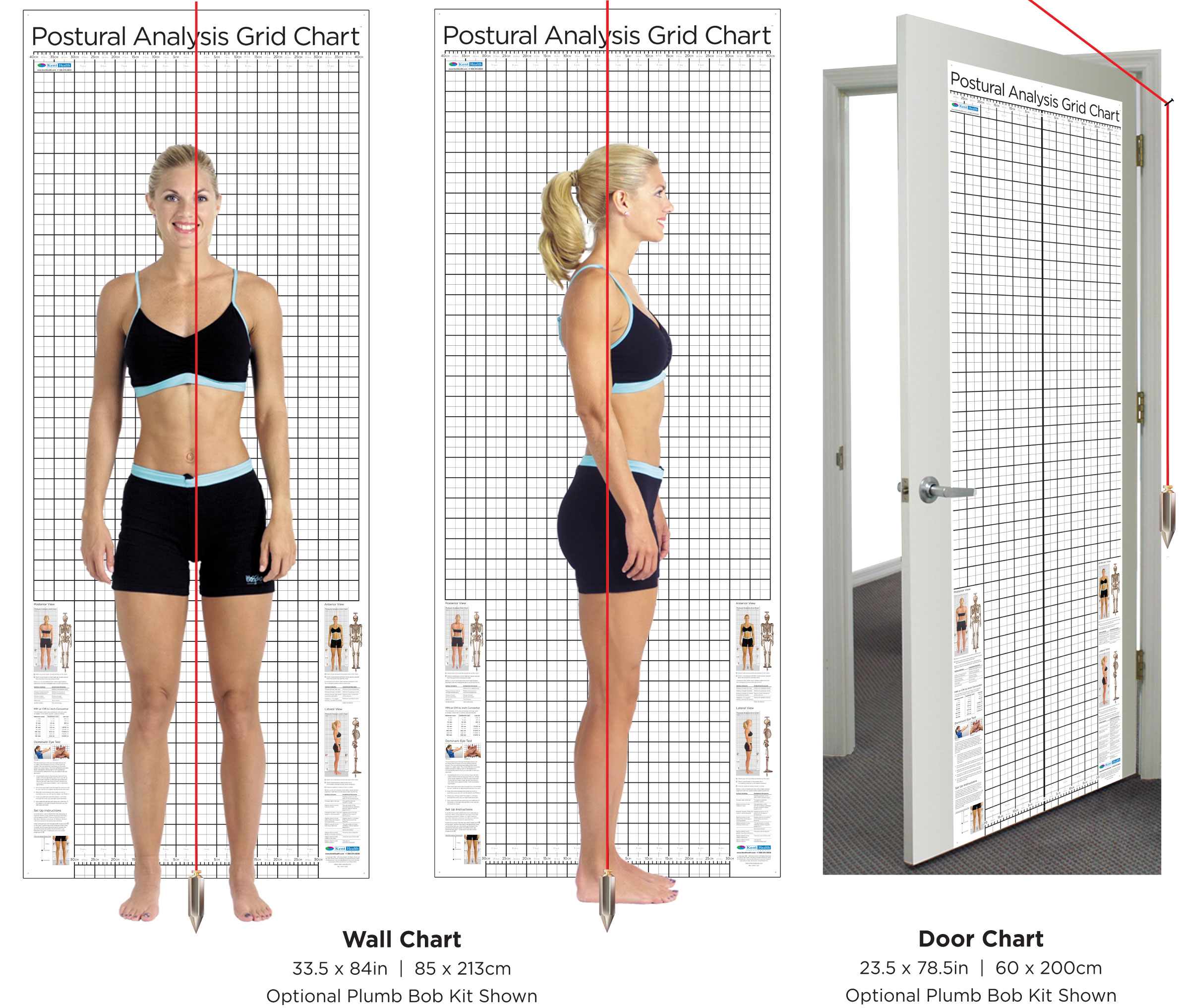 posture-chart-wall-and-door-sizes-with-plumb-bob-option-red.jpg