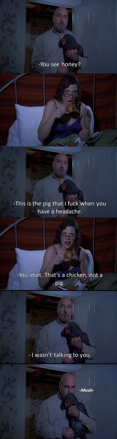 pig.jpg