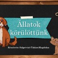 Állatok körülöttünk