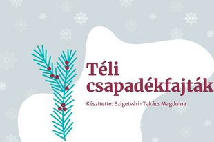 Téli csapadékfajták