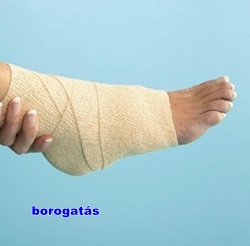 borogatas2.jpg