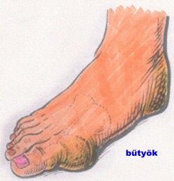 butyok2.jpg