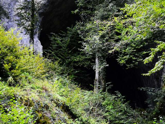 Mézgedi-cseppkőbarlang (Czárán-barlang), Mézged, Partium