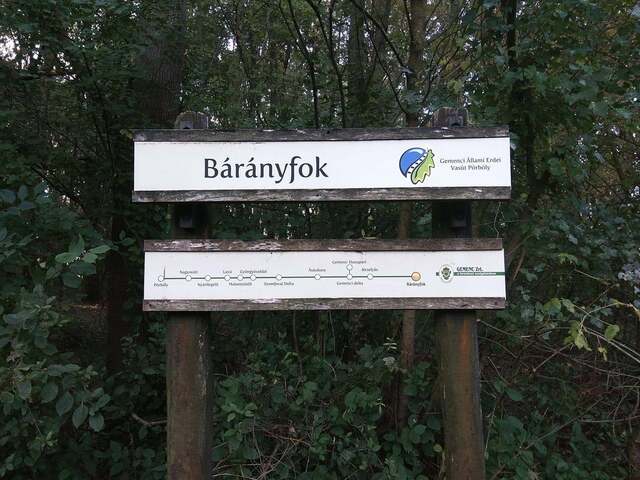 Bárányfok, Gemenci erdő