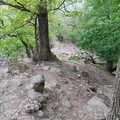 Vadálló-kövek, Visegrádi-hegység