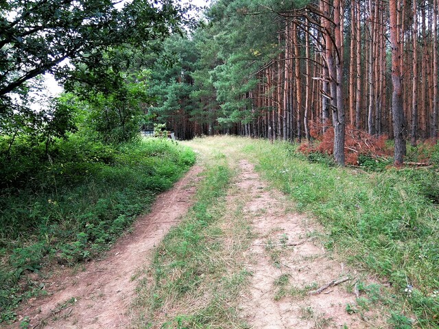 Pusztaszentpéter elpusztult falu, Zala vármegye