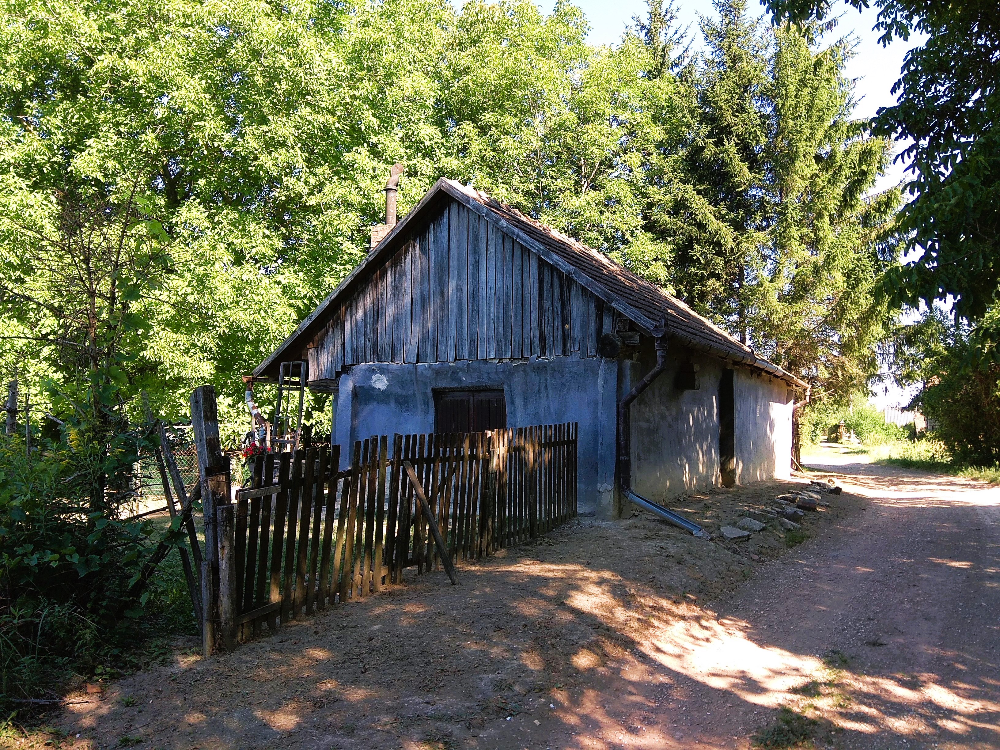 img_20220803_094326.jpg