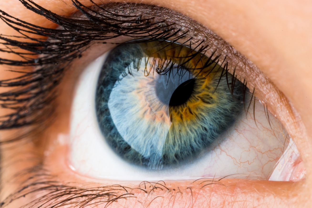 a látást károsító szembetegségek
