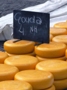 gouda.jpg