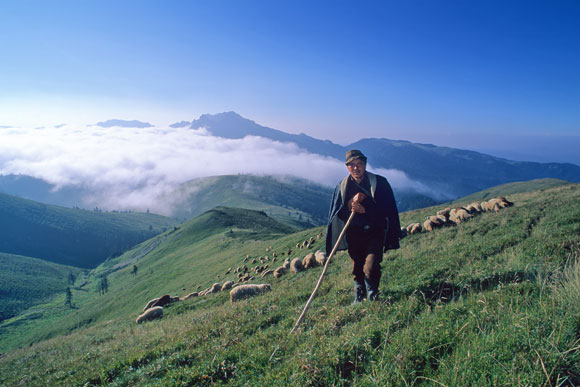 kaukazusi_kefir_cikk-elejere.jpg