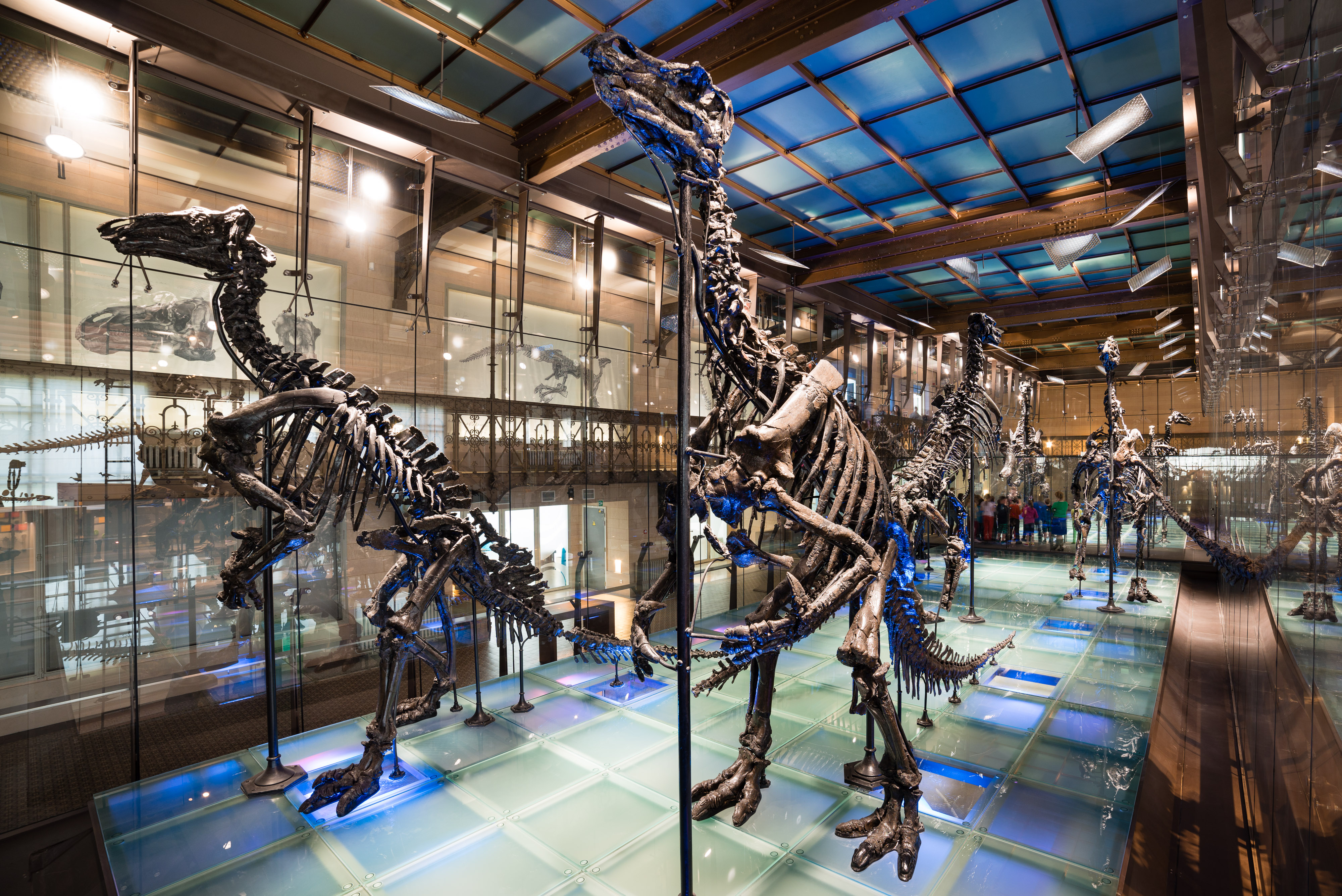 iguanodon-csontvazak_synthesis.jpg