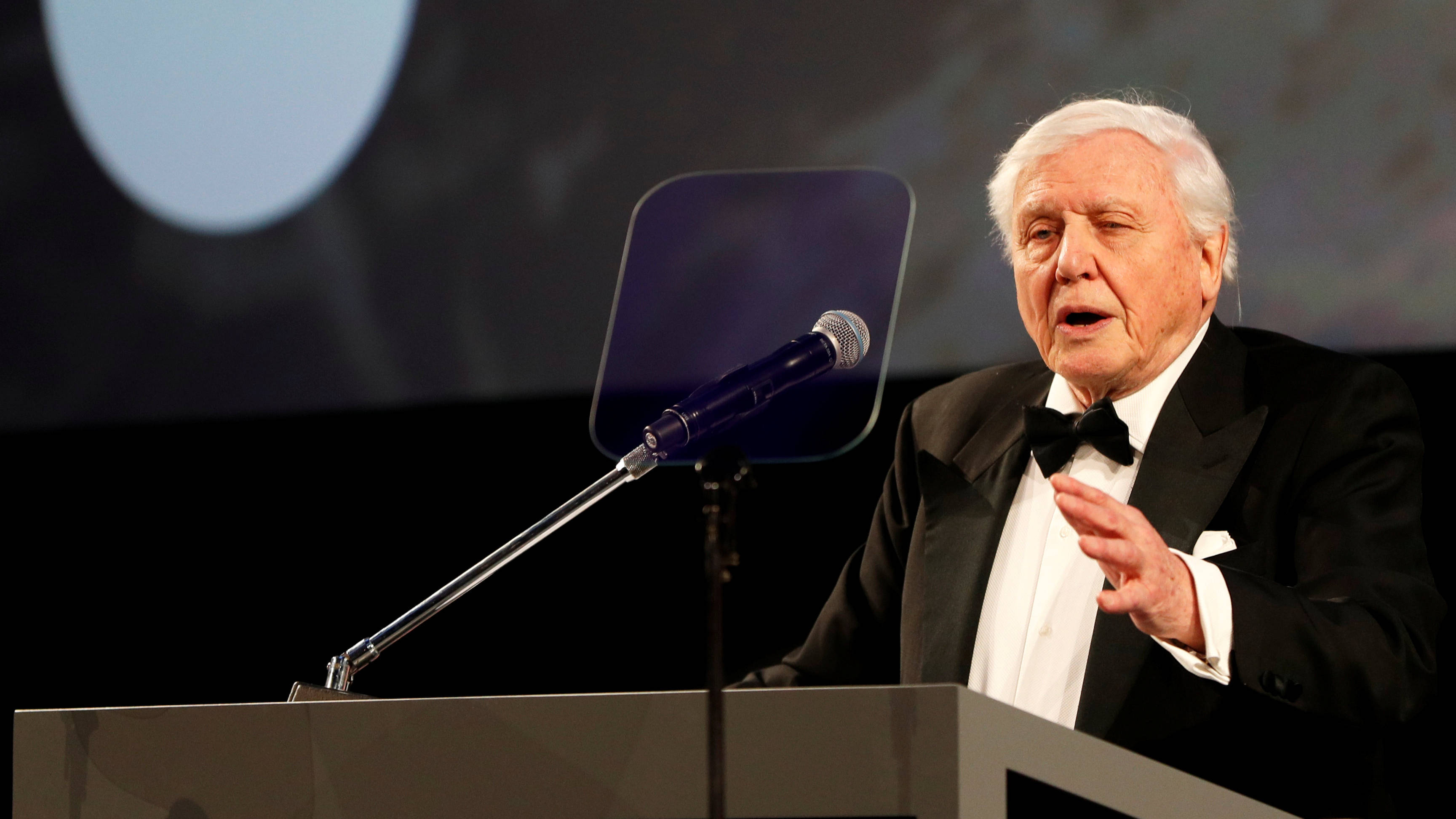 sir_david_attenborough_getty_images.jpg