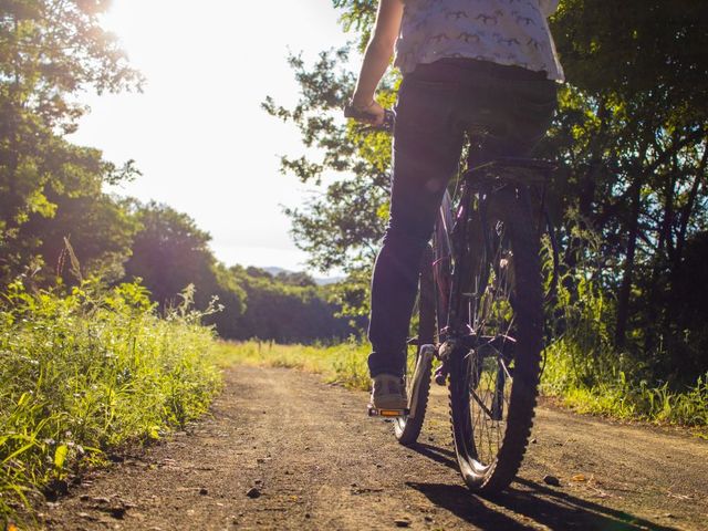 Útvonal ajánló: A Széchenyi-hegytől Adyligetig - Erdőn-mezőn át