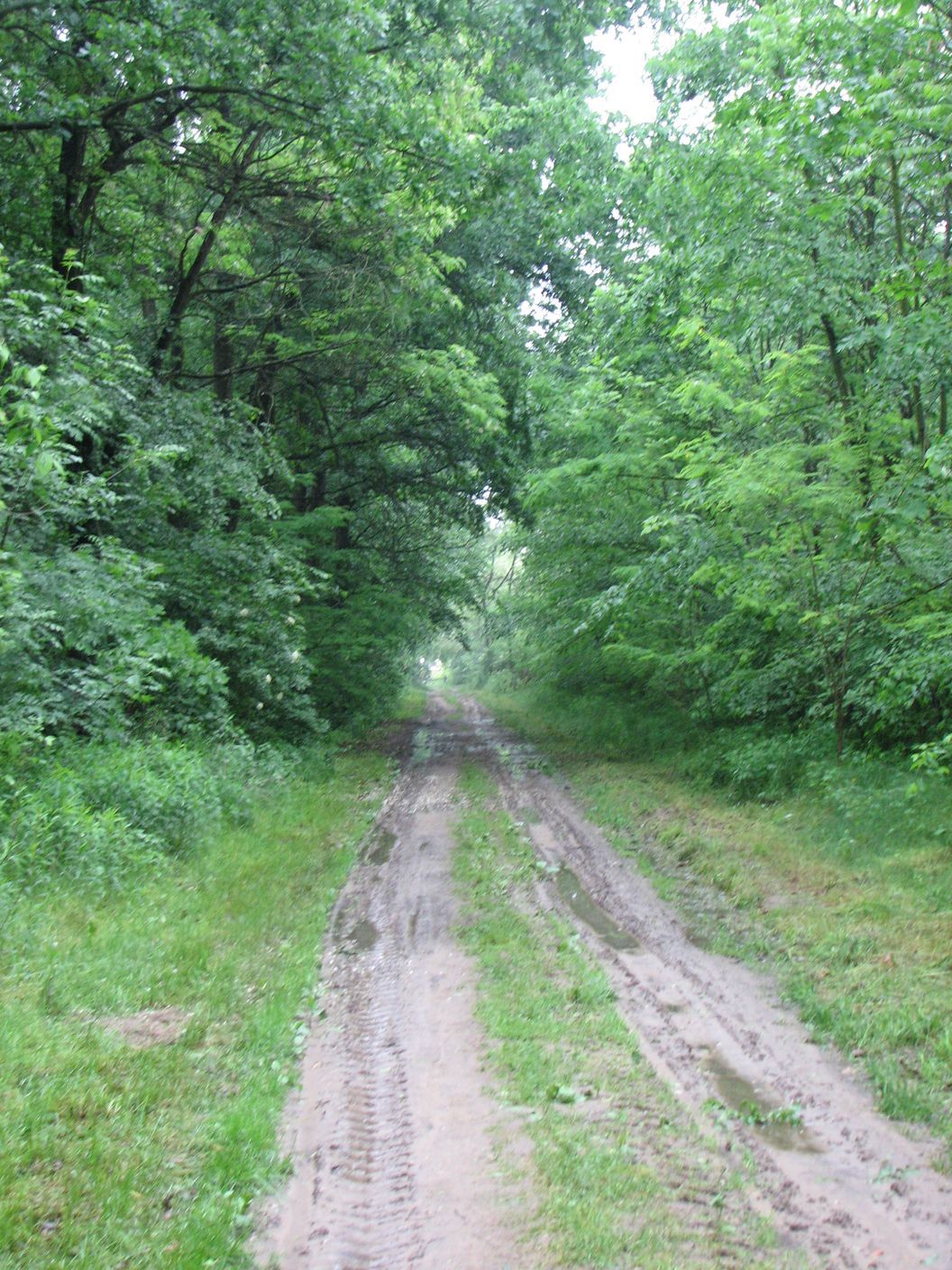 IMG_0287.JPG