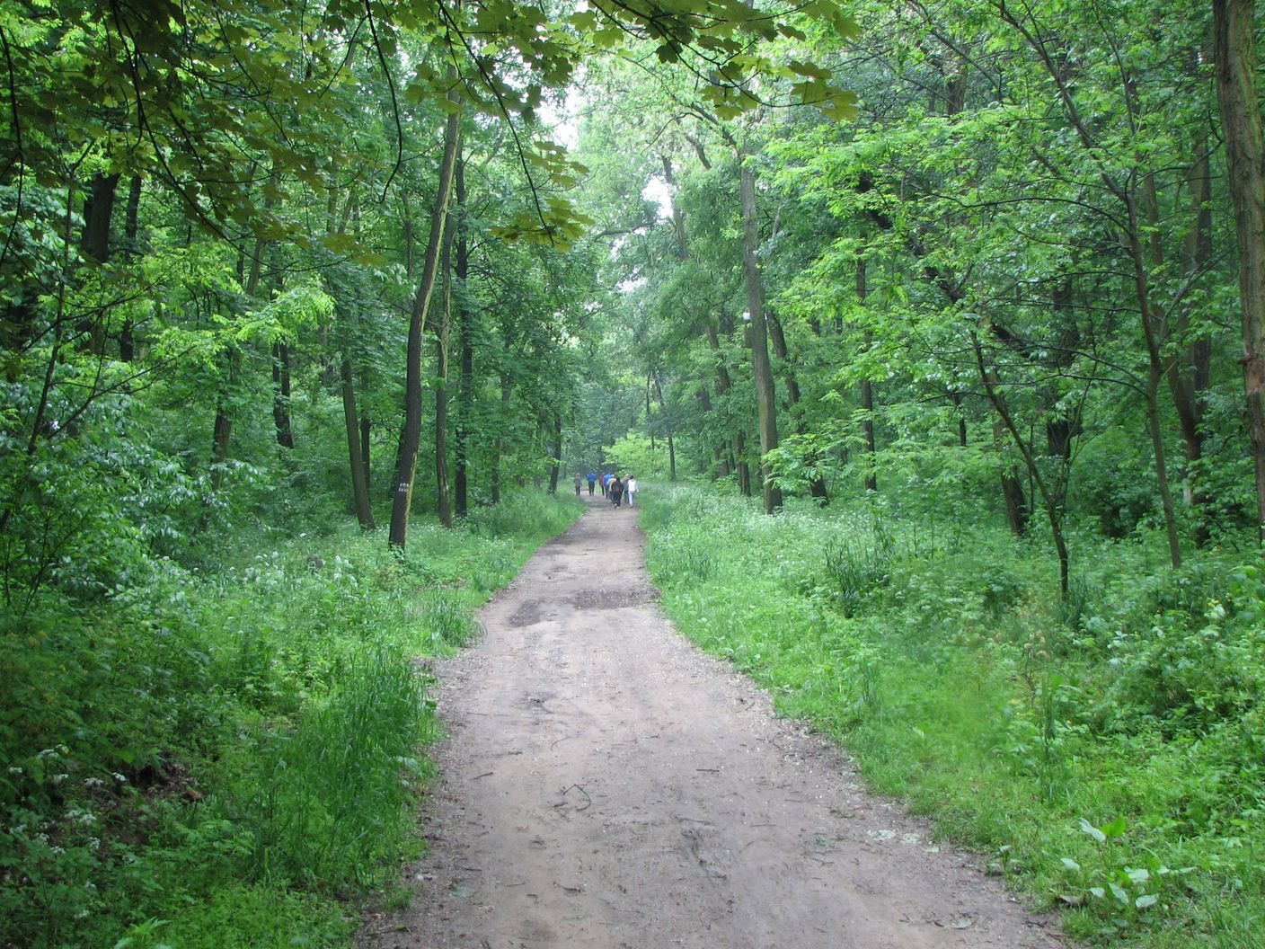 IMG_0293.JPG