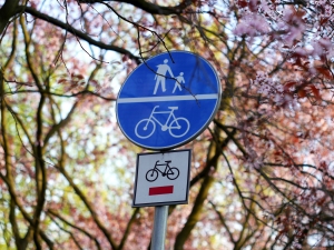 bike-route-sign-1442424-m.jpg