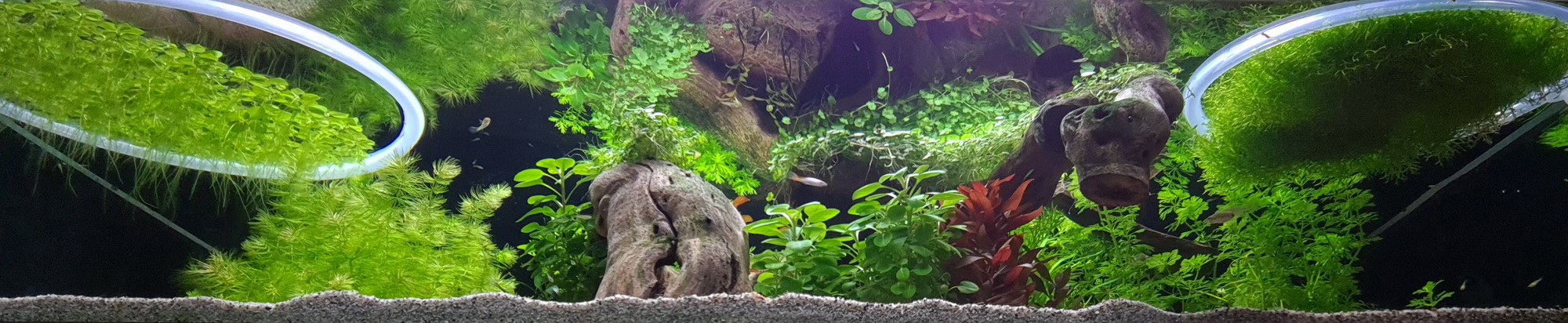 20210529_115414_resize_1.jpg