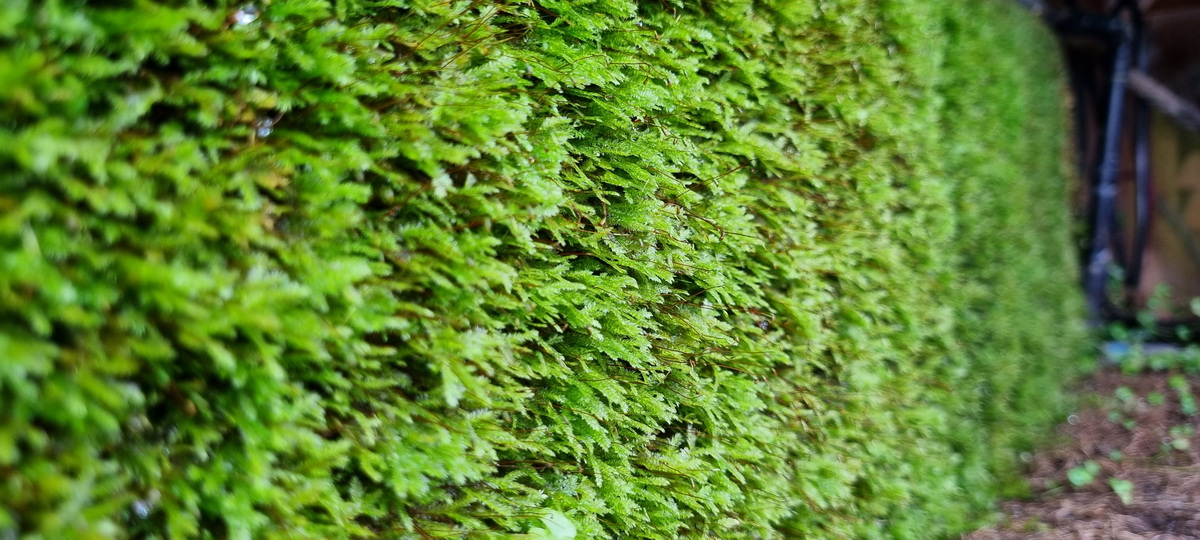 20221206_152551_2.jpg