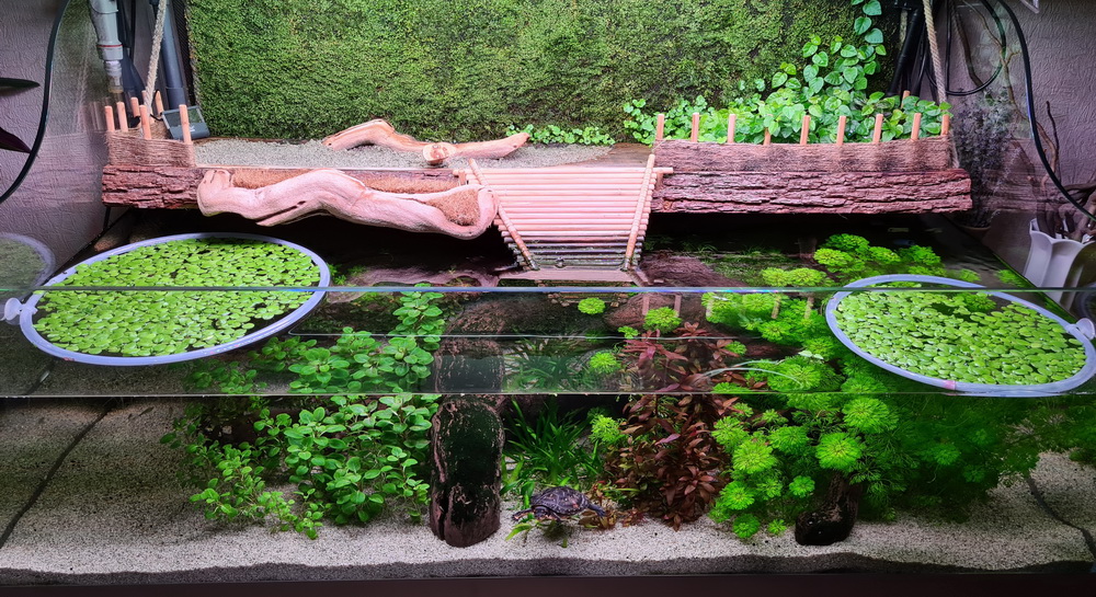 akvarium_resize.jpg