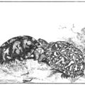 Etetés: A Viszály