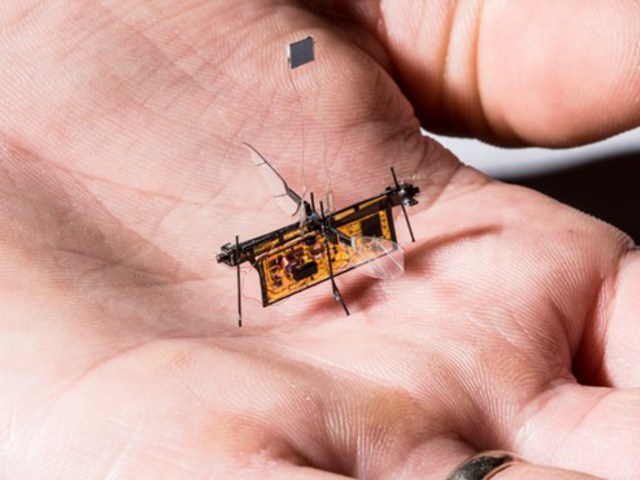 Megépítették a világ legkisebb drónját, rajta miniatűr napelemekkel