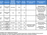 Átlagosan 25 ezer forintba kerül a digitális átállás