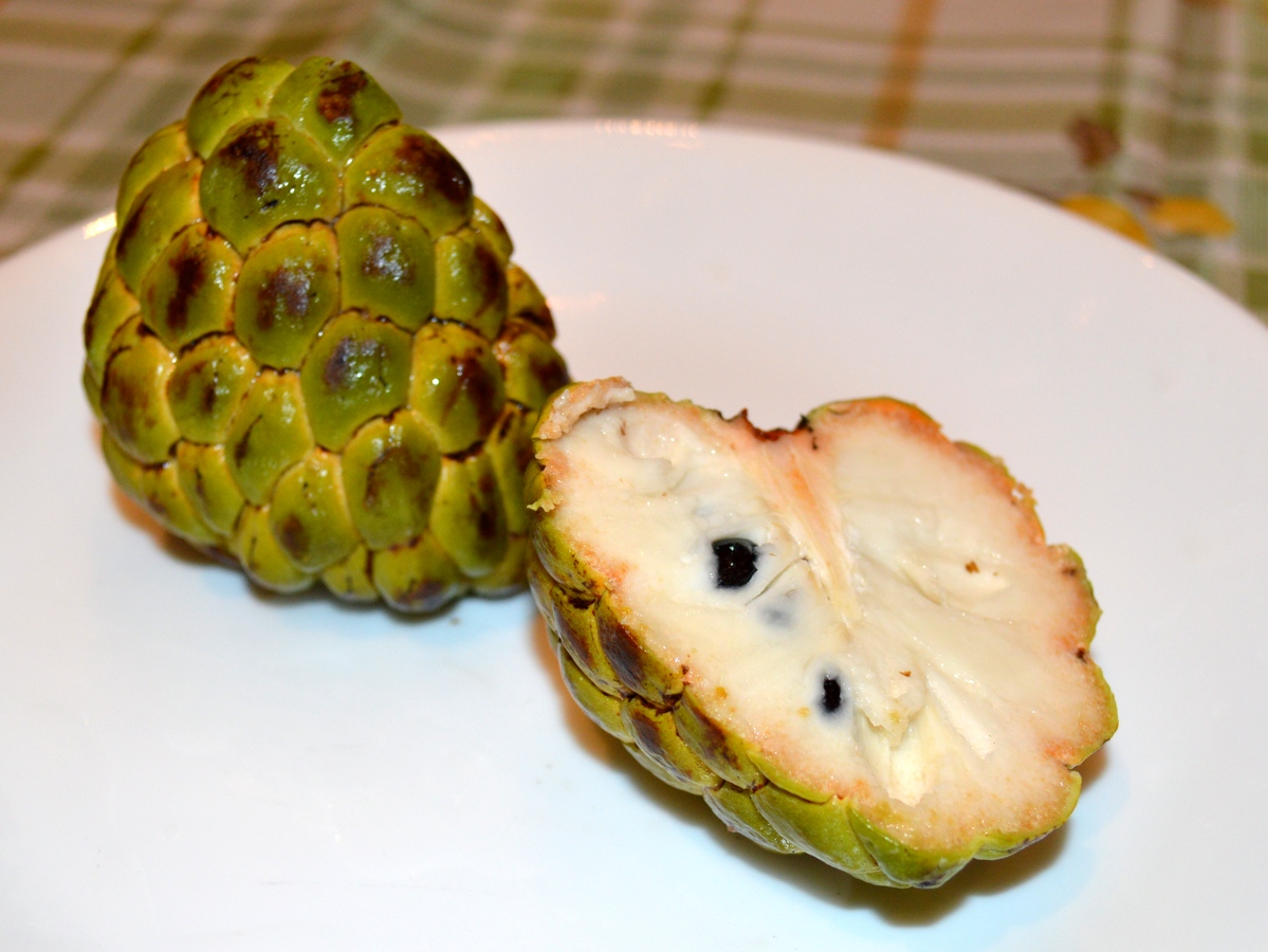 custard apple2.jpg