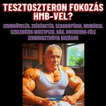 TESZTOSZTERON FOKOZÁS HMB-VEL?