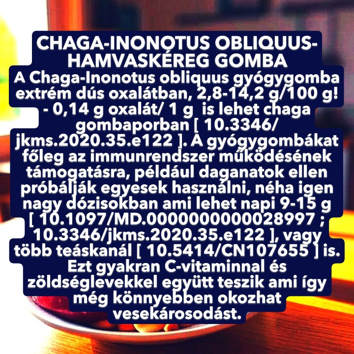 gomba.JPG