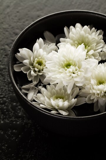 spa-relax-concept-beautiful-white-spa-flowers-bowl-water-dark-background_1220-1466.jpg
