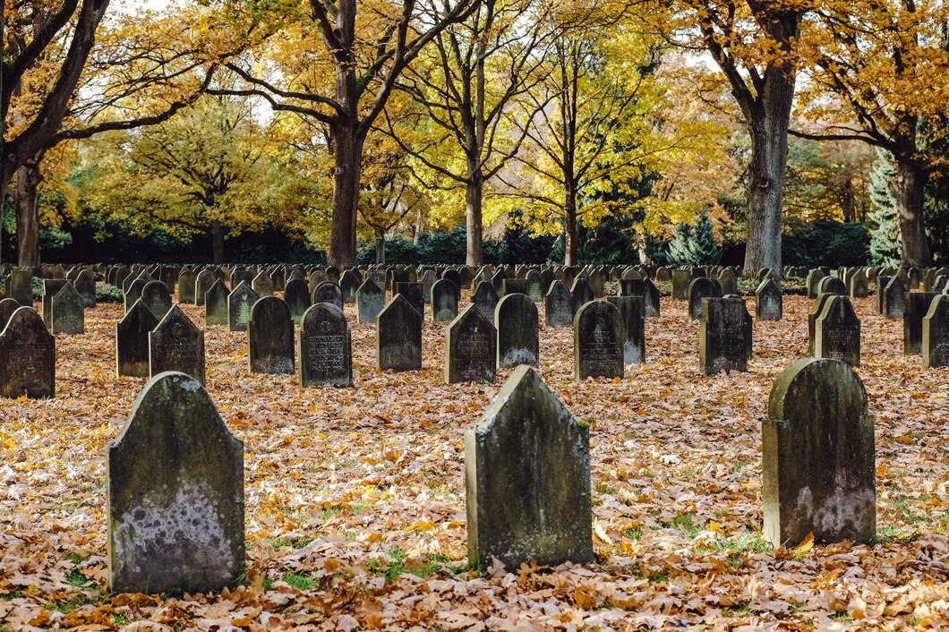 world-war-i-cemetery_181624-9208.jpg