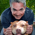 A csodálatos Cesar Millan