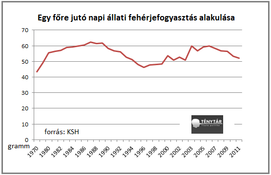 fehérjefogyasztás_1.png