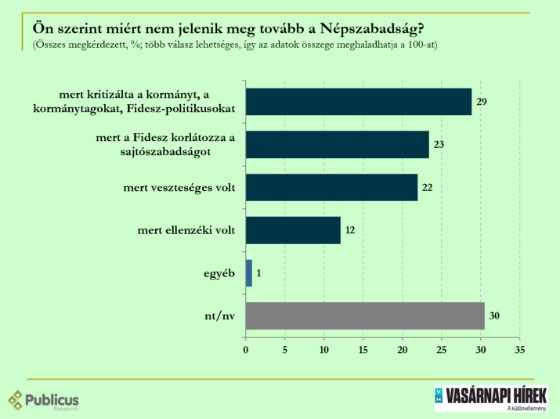 pubi2.jpg