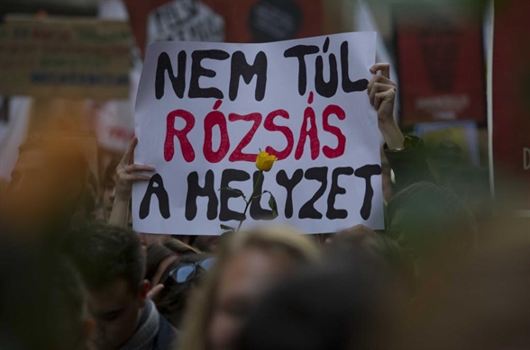 rózsás.jpg