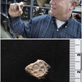 Agyagpecséteket találtak a Kr.e. 10. századból