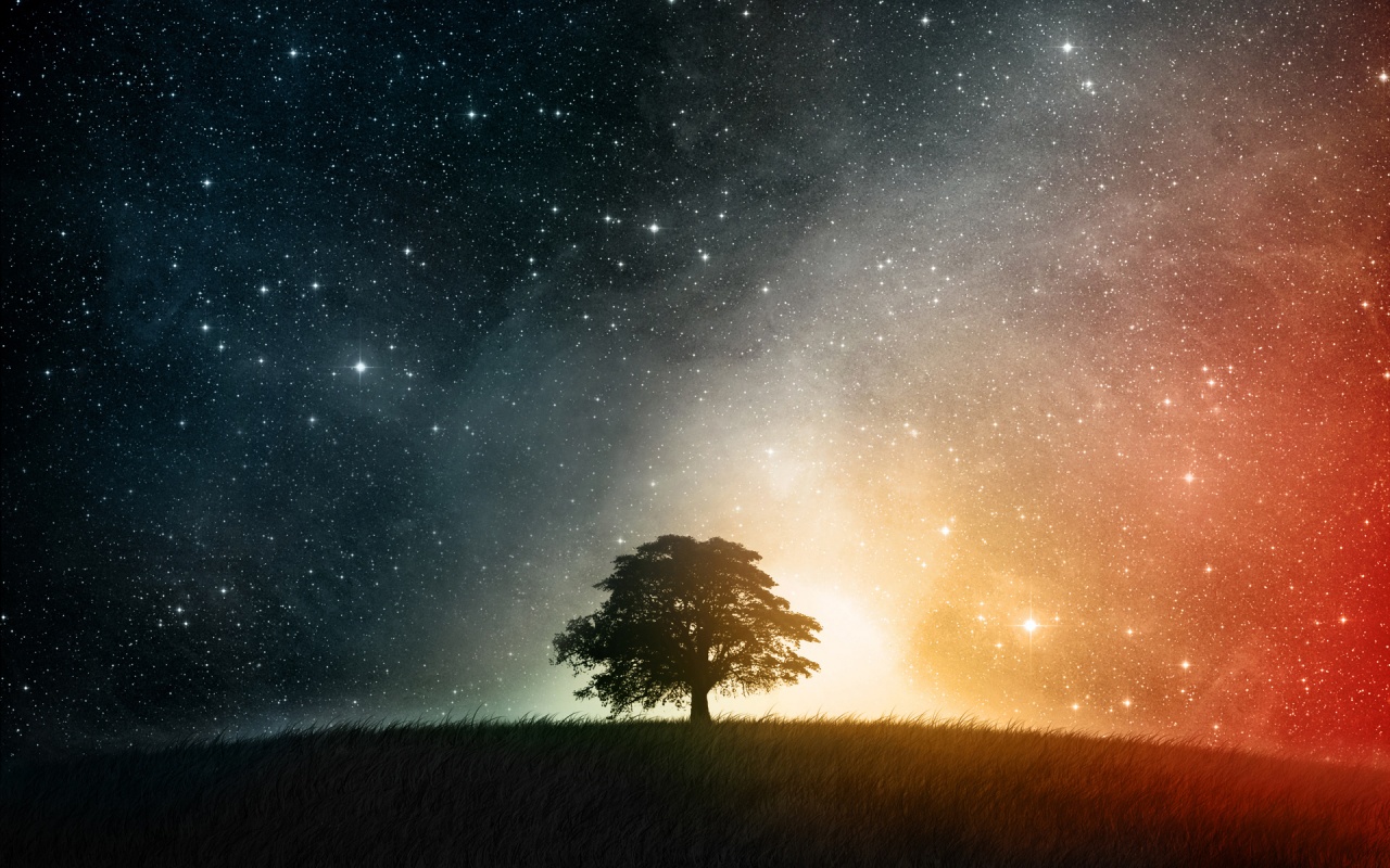 night_sky_tree_universe-1280x800.jpg