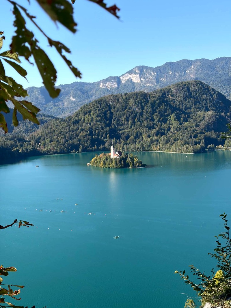 bled1.jpg